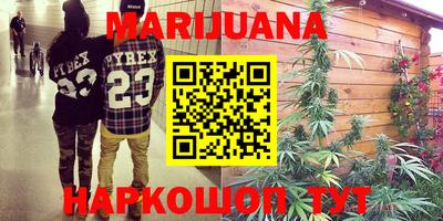 прущие грибы Лесосибирск