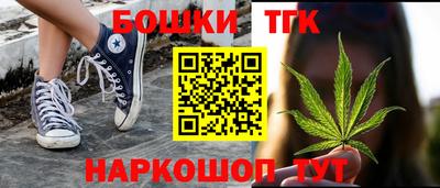 прущие грибы Лесосибирск