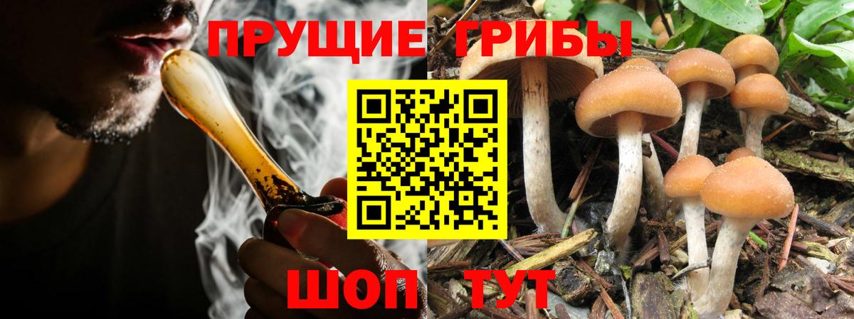 Галлюциногенные грибы ЛСД  где купить наркотик  Железногорск  Вход с VPN 